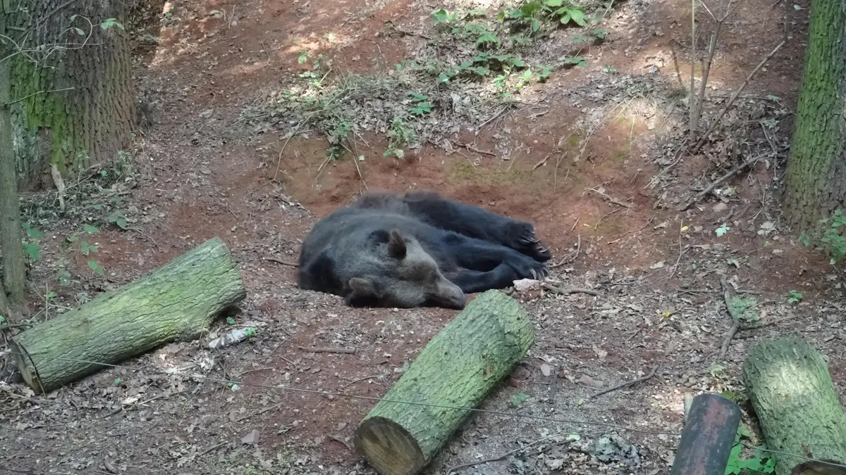 Zoopark Chomutov
